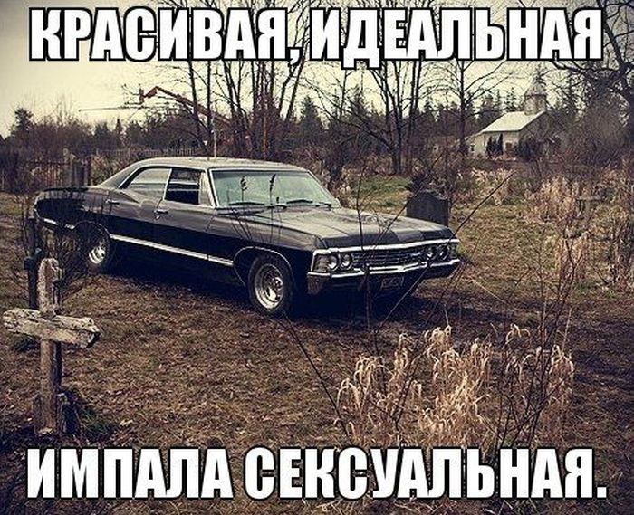 Авто-юмор. Часть 10 (40 фото)