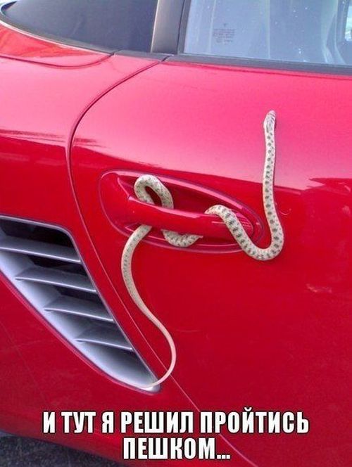 Авто-юмор. Часть 10 (40 фото)