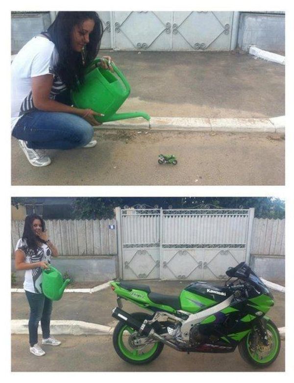 Авто-юмор. Часть 10 (40 фото)