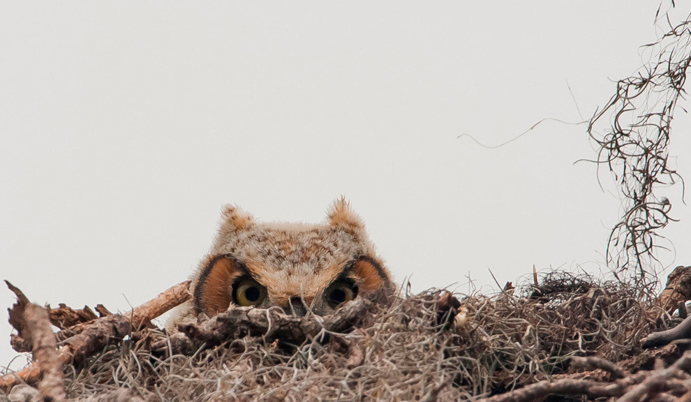 Конкурс фотографий National Geographic Traveler 2014 Конкурс фотографий National Geographic Traveler 2014