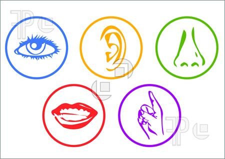 Поразительные тайны человеческого тела