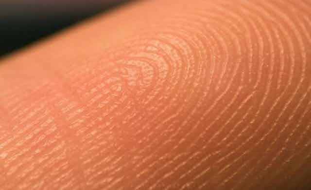 Поразительные тайны человеческого тела