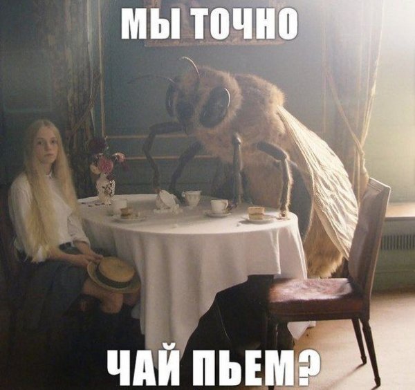 Прикольные картинки (106 фото)