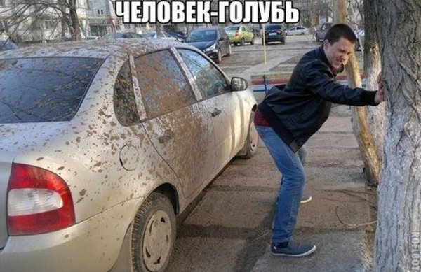 Прикольные картинки (106 фото)