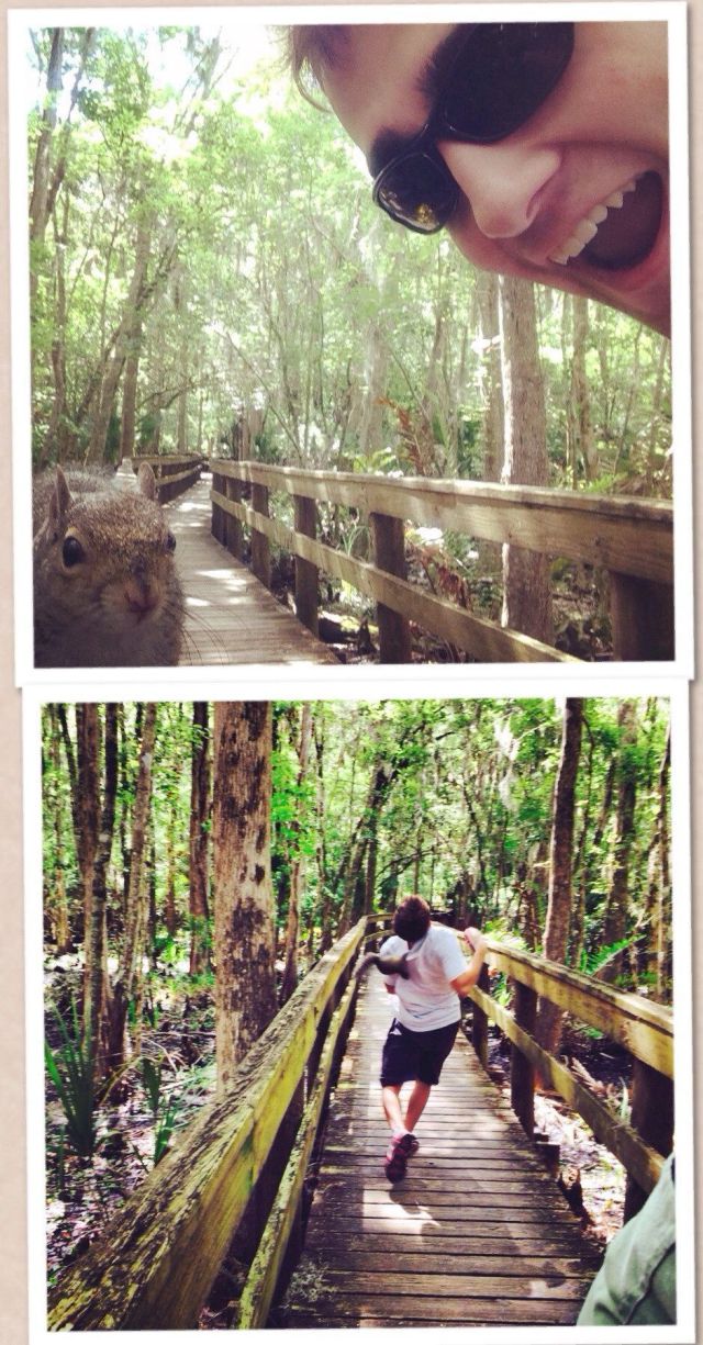 Прикольные картинки (106 фото)