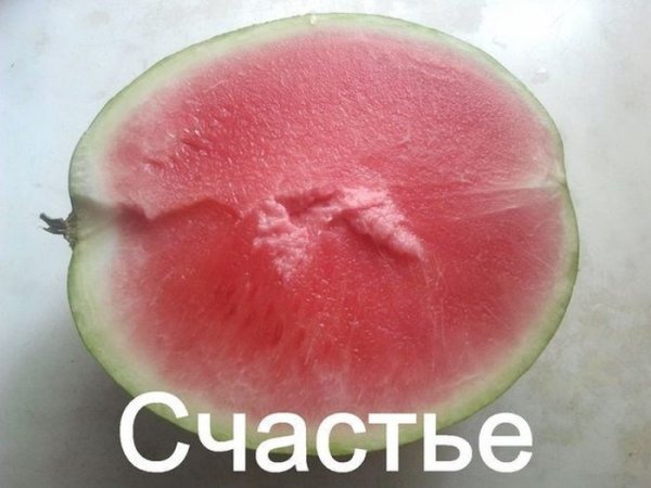 Прикольные картинки (106 фото)