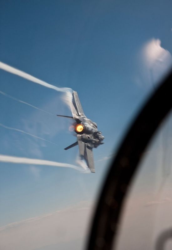 Прикольные картинки (106 фото)