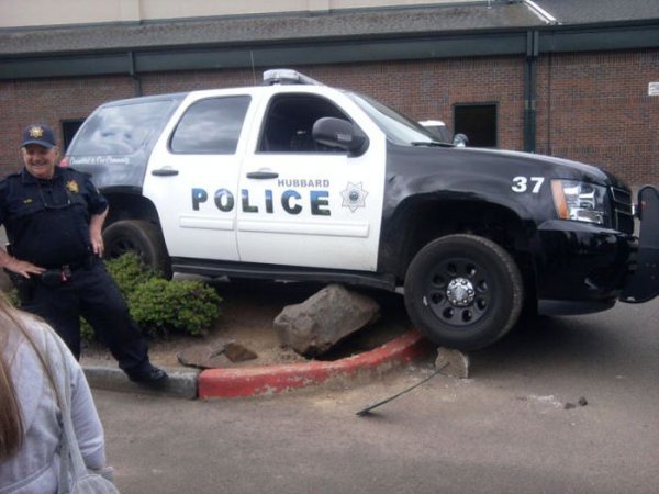 Прикольные картинки (106 фото)