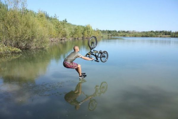 Прикольные картинки (106 фото)