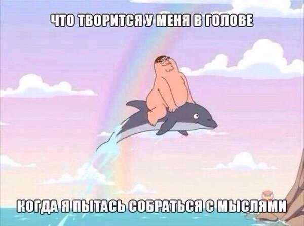 Прикольные картинки (106 фото)