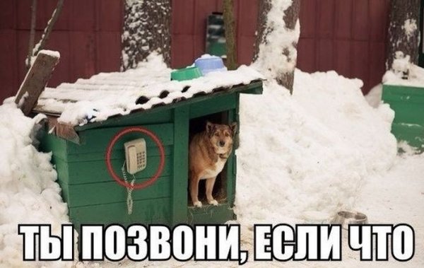 Прикольные картинки (106 фото)