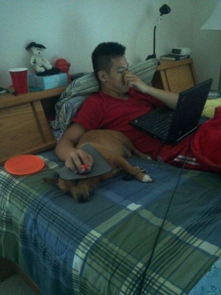 Прикольные картинки (106 фото)