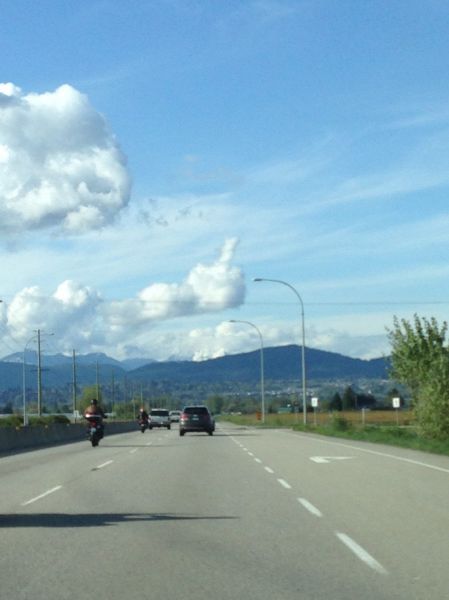 Прикольные картинки (106 фото)