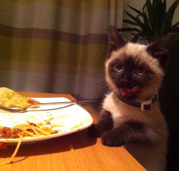 Прикольные картинки (106 фото)