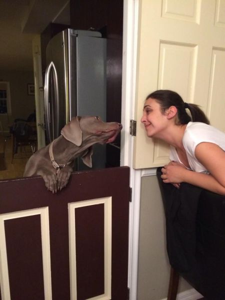 Прикольные картинки (106 фото)