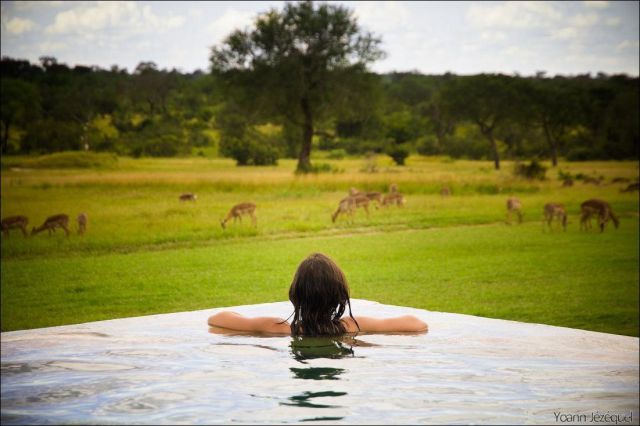 Прикольные картинки (106 фото)