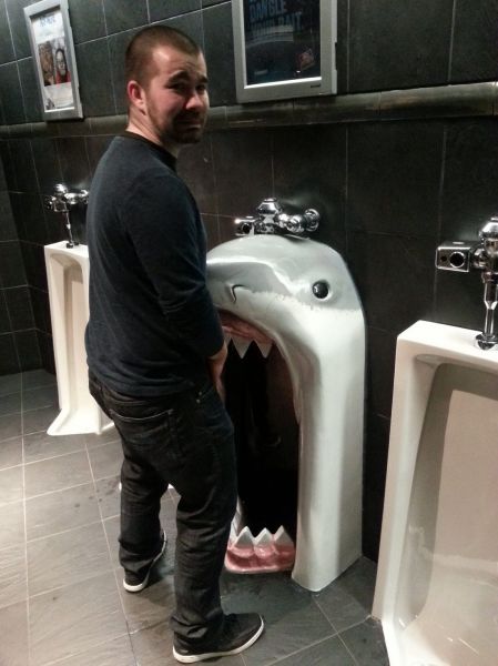 Прикольные картинки (106 фото)