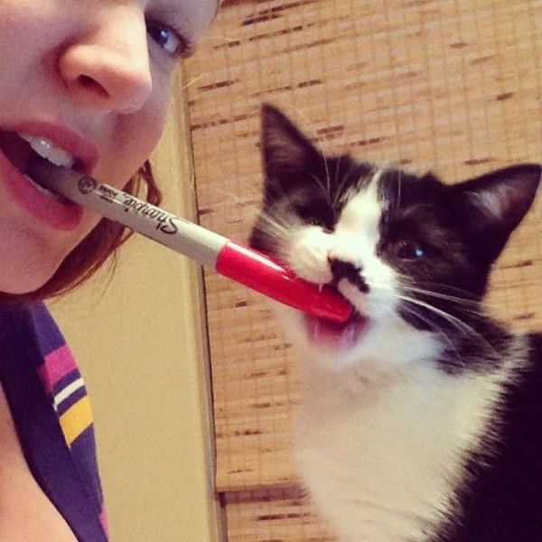 Прикольные картинки (106 фото)