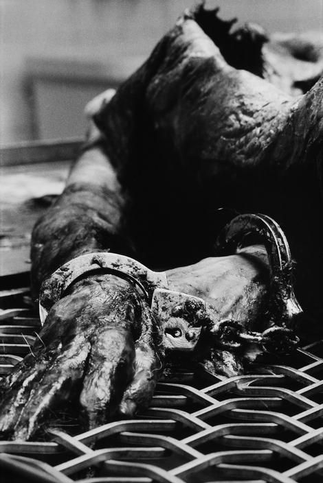 Из жизни нью-йоркской полиции 70-х