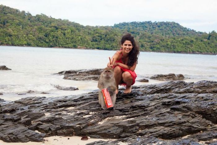 Прикольные картинки