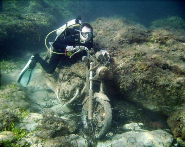 Прикольные картинки