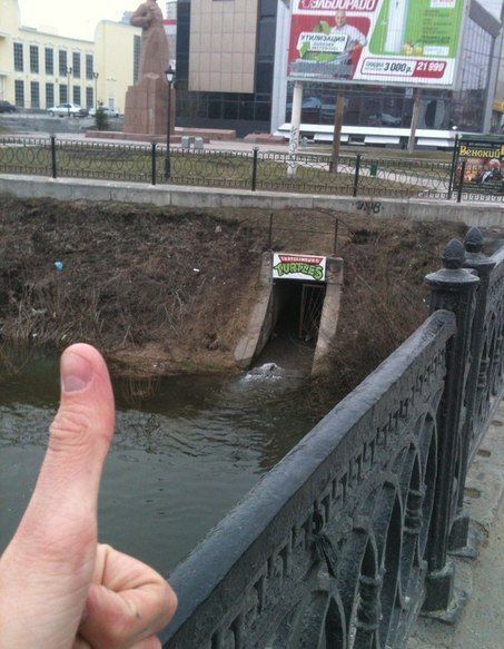 Прикольные картинки