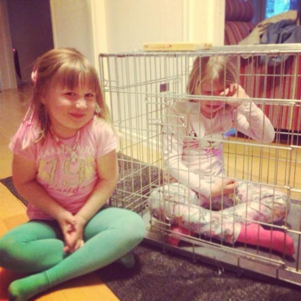 Прикольные картинки