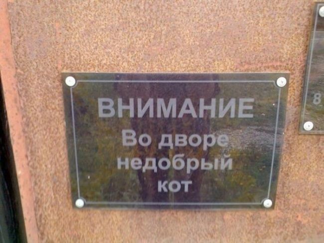 Оригинальные объявления (24 фото) Оригинальные объявления (24 фото)