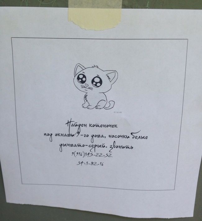 Оригинальные объявления (24 фото) Оригинальные объявления (24 фото)