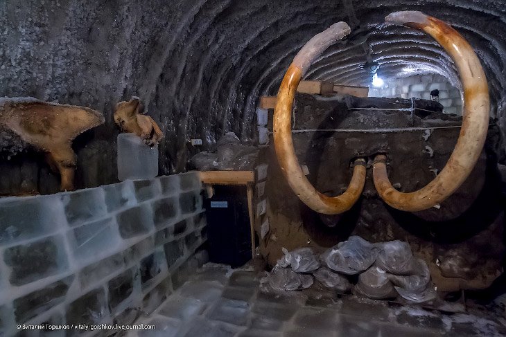 Музей мамонта в Хатанге