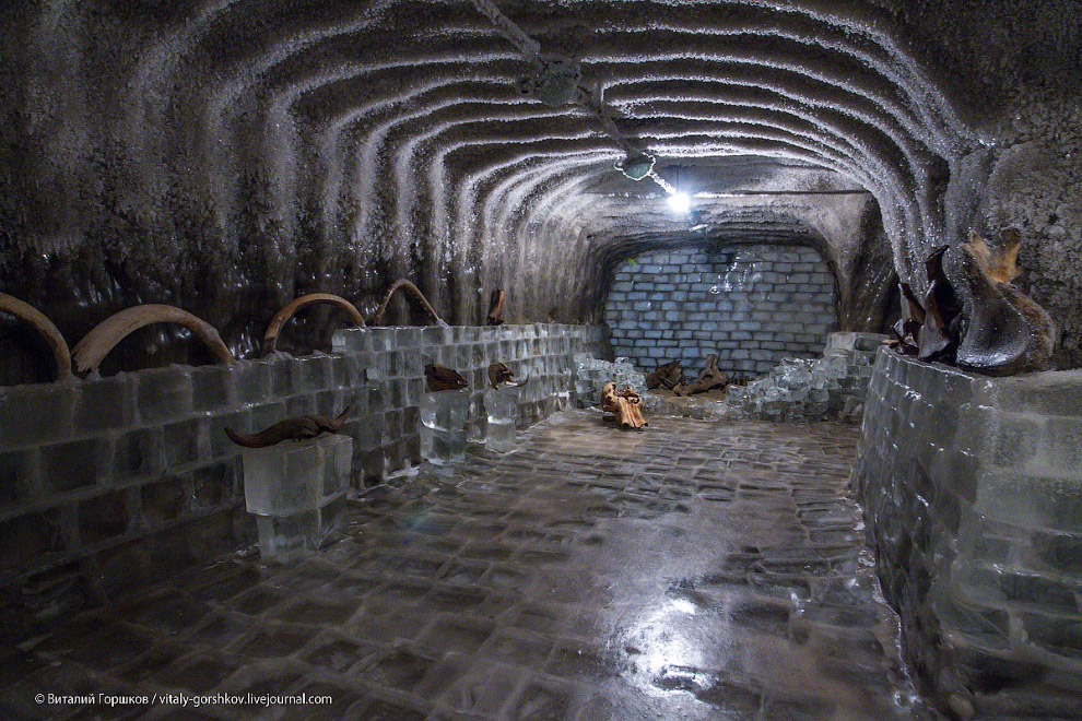 Музей мамонта в Хатанге