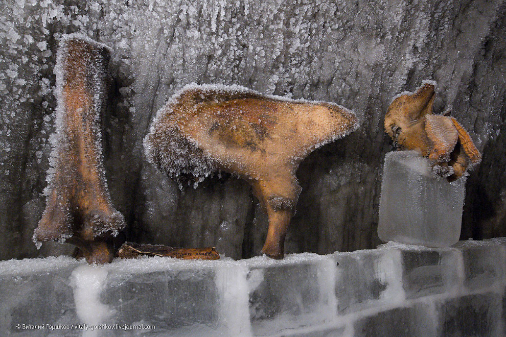 Музей мамонта в Хатанге