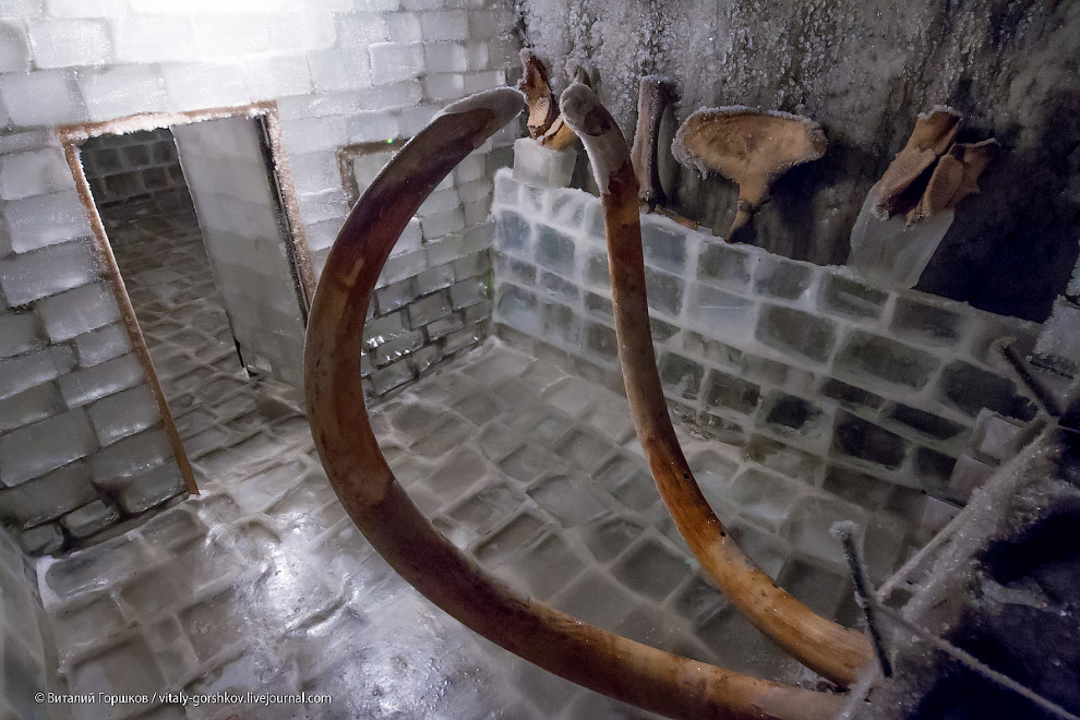 Музей мамонта в Хатанге