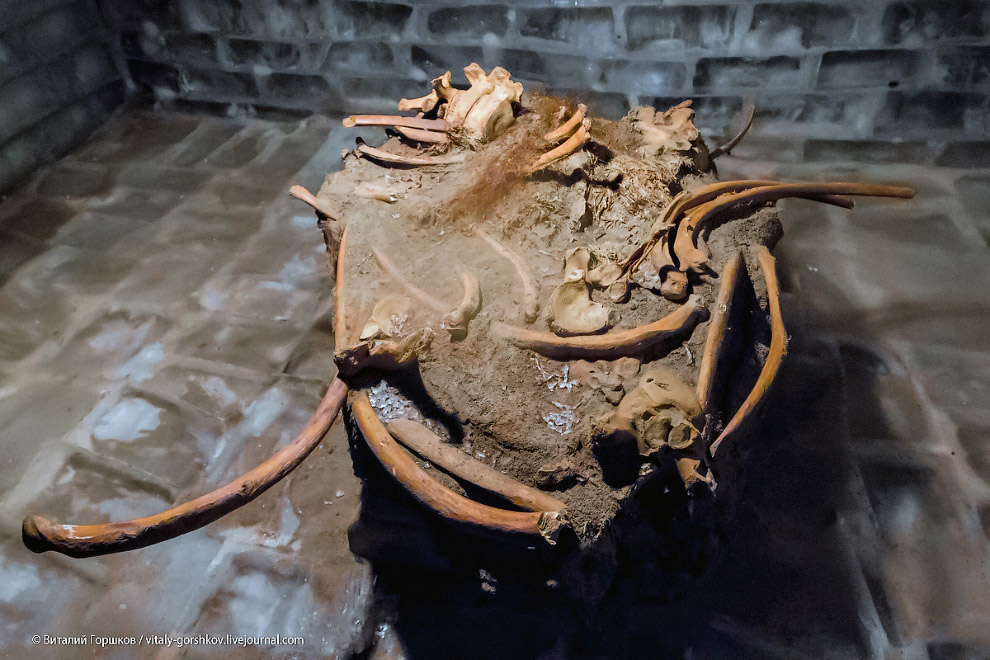 Музей мамонта в Хатанге