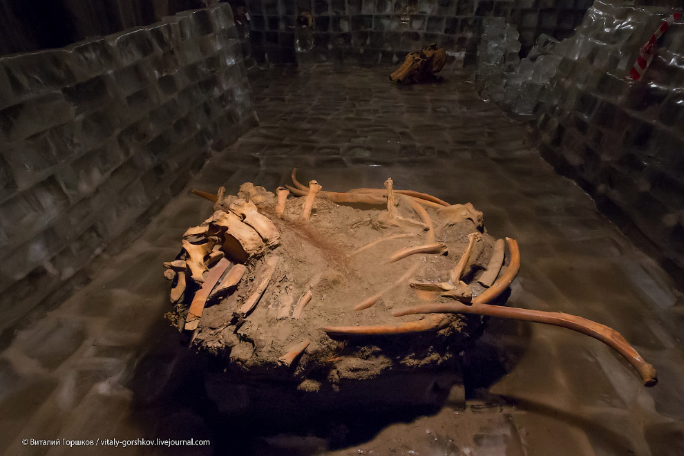 Музей мамонта в Хатанге