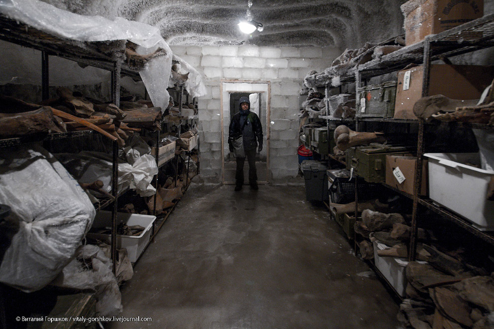 Музей мамонта в Хатанге