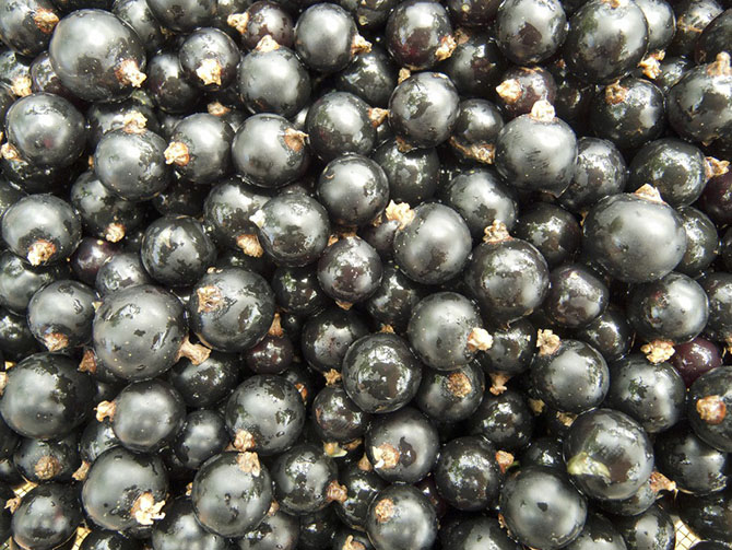 10 продуктов для лета