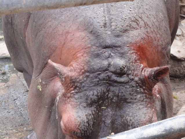 Интересные факты, в которые вы не сразу поверите