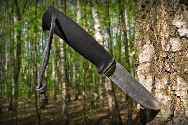 Правила выживания летом в лесу