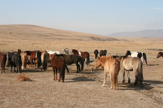 Интересные факты обо всем