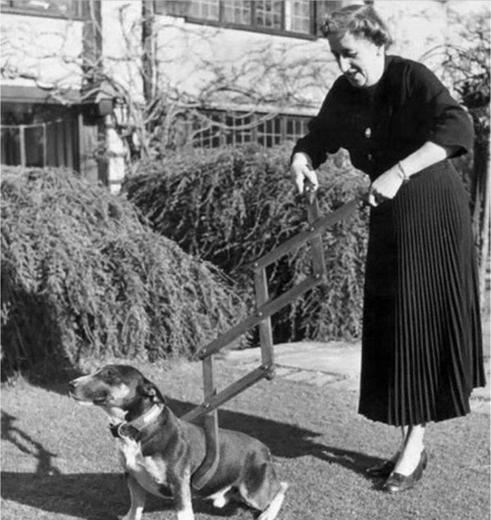 Самые нелепые изобретения