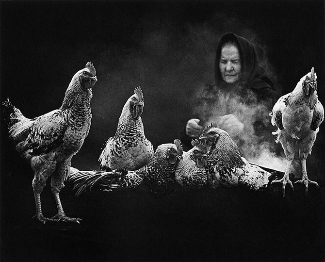 Чудесные черно-белые снимки от мастеров фотографии