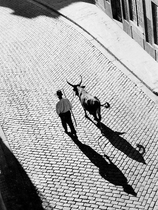 Чудесные черно-белые снимки от мастеров фотографии