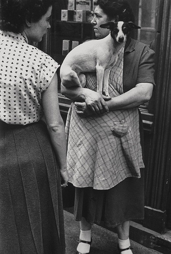 Чудесные черно-белые снимки от мастеров фотографии