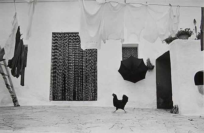 Чудесные черно-белые снимки от мастеров фотографии