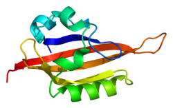 10 самых таинственно одарённых людей в мире