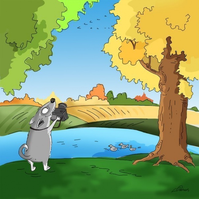 10 причин любить осень 10 причин любить осень