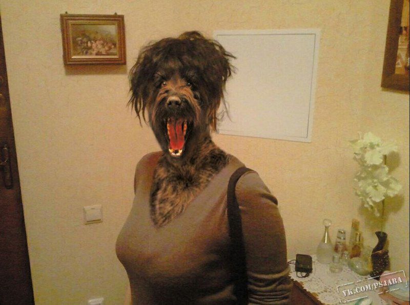 Отфотошопте моё фото (19 фото)