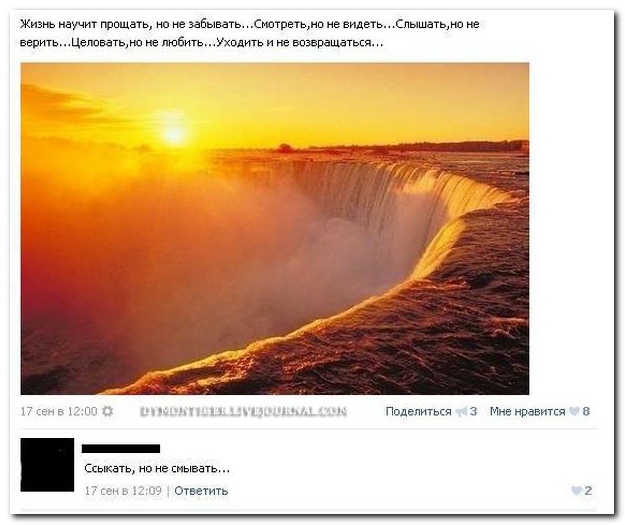 Смешные комментарии из социальных сетей