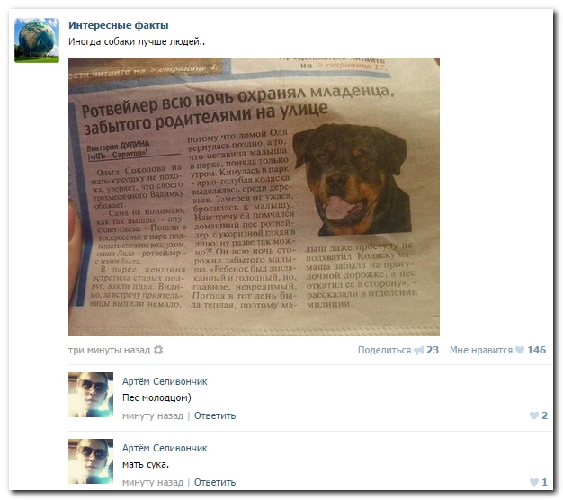 Смешные комментарии из социальных сетей